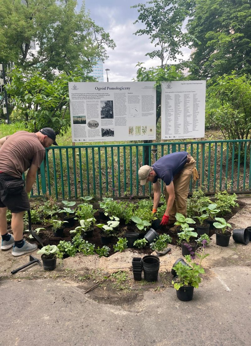 Ogród wytchnieniowy, prace, Fundacja Puszka, 1