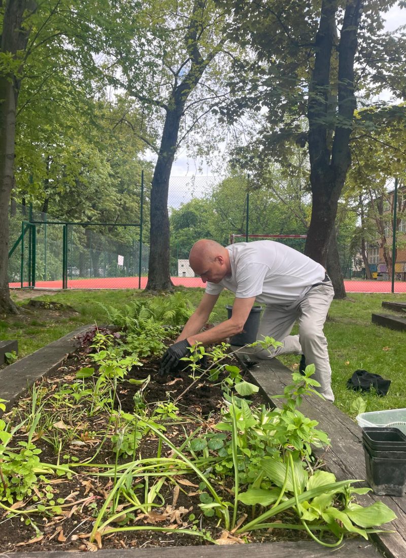 Ogród wytchnieniowy, prace, Fundacja Puszka, 3