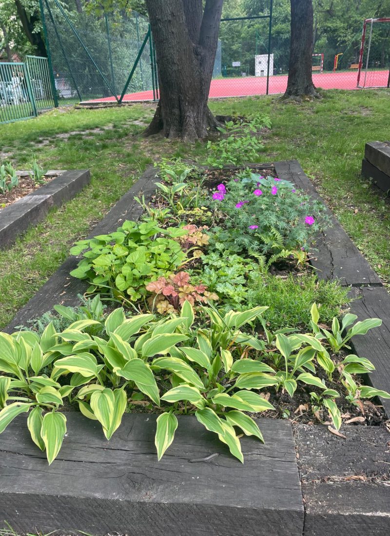 Ogród wytchnieniowy, prace, Fundacja Puszka, 4